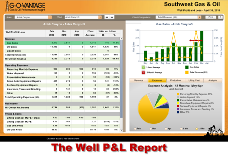 Well_P&_L_Rpt